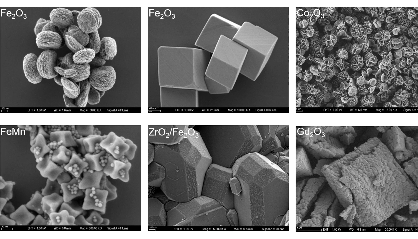 Imaging Magnetic Samples Using Zeiss Fe Sem Zeiss