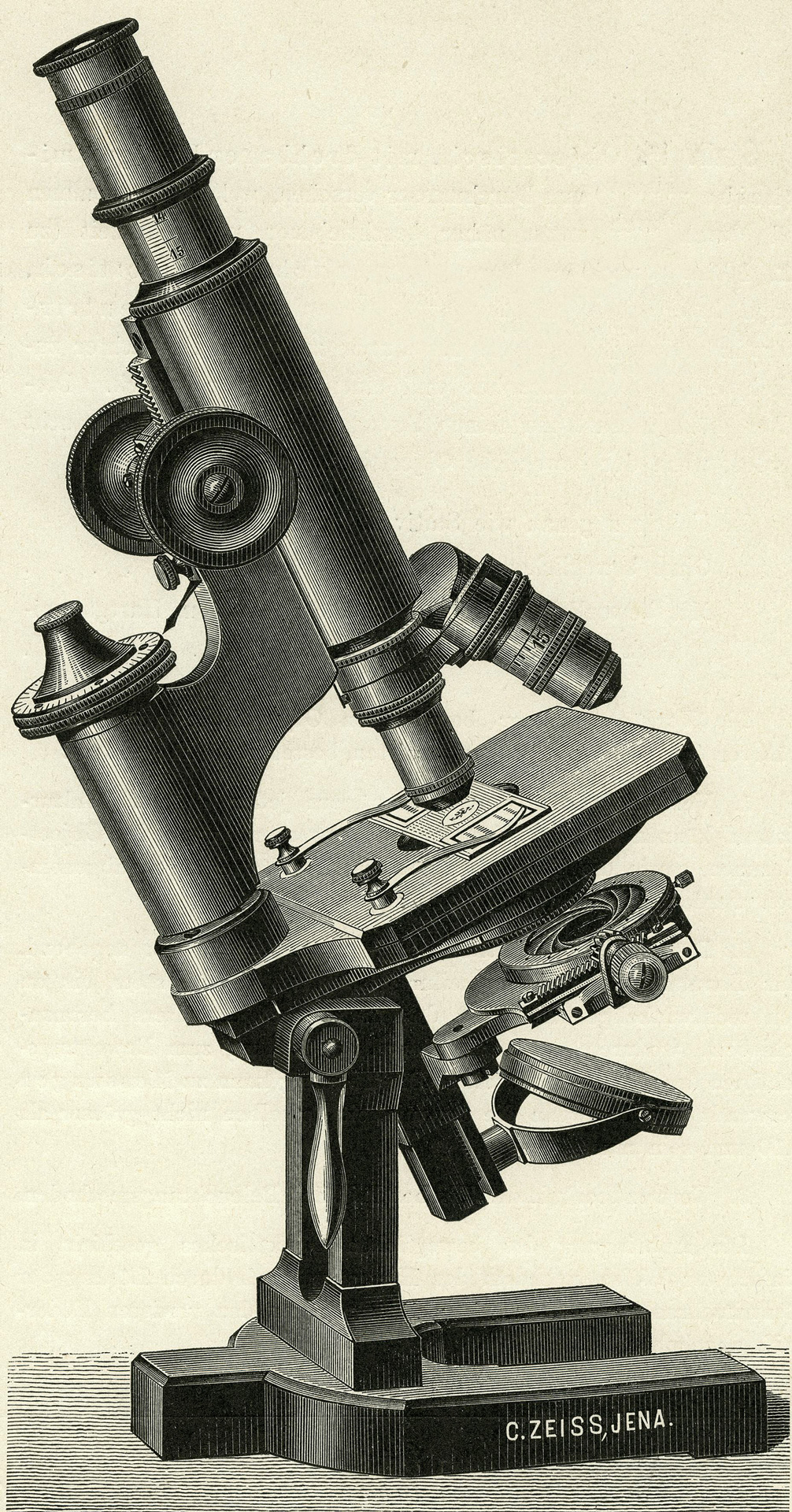 Who Invented the Microscope?
