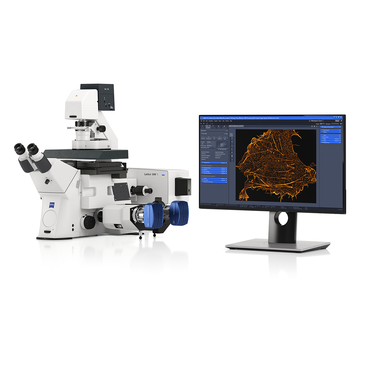 ZEISS Lattice SIM 5: Super-resolution imaging down to 60 nm​