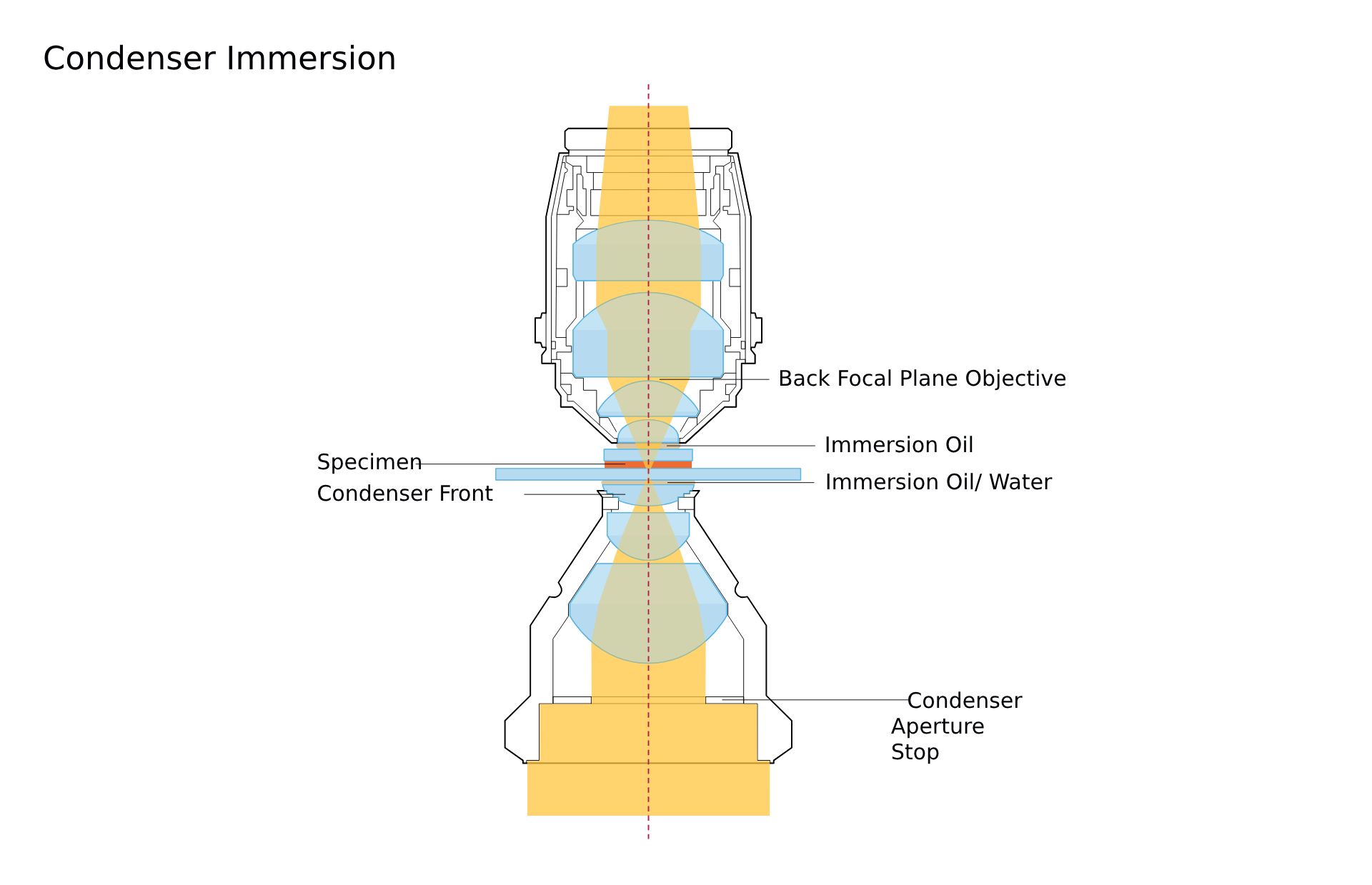 Diagram of a condenser immersion system in microscopy, showing components like the specimen, immersion oil, and lenses