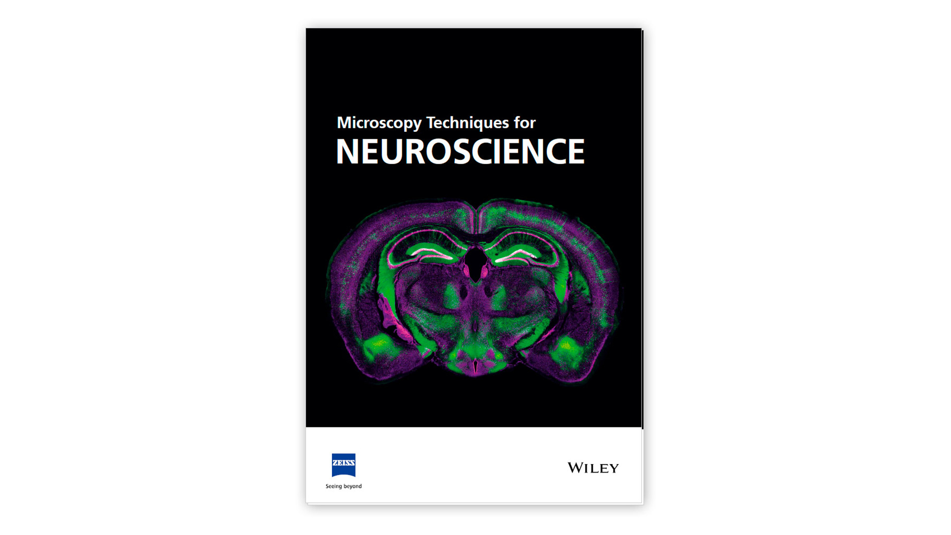 ZEISS Microscopy Techniques for Neuroscience Ebook