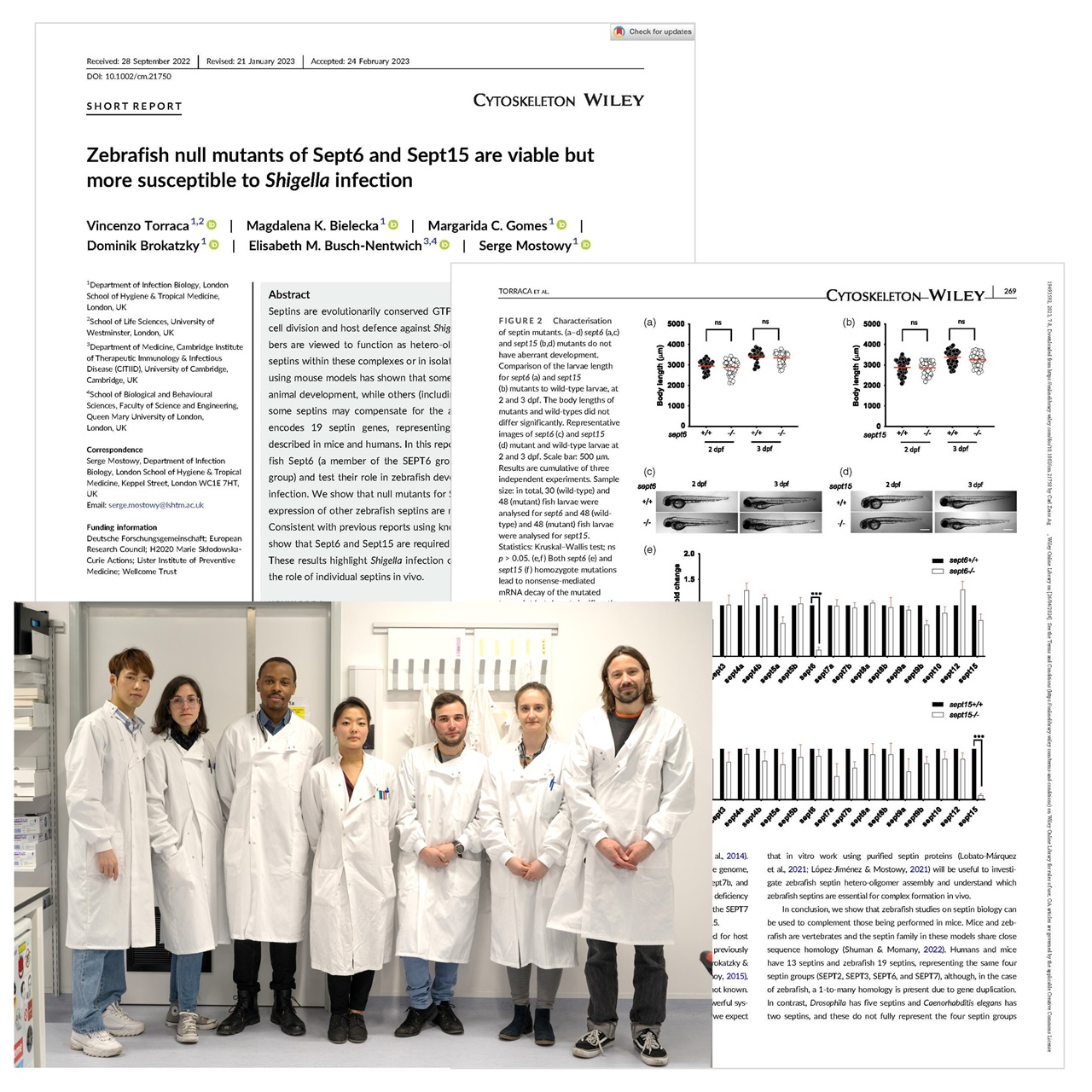 Dr. Serge Mostowy and his team with pages with their publication using high throughput microscopy to screen zebrafish null mutants.
