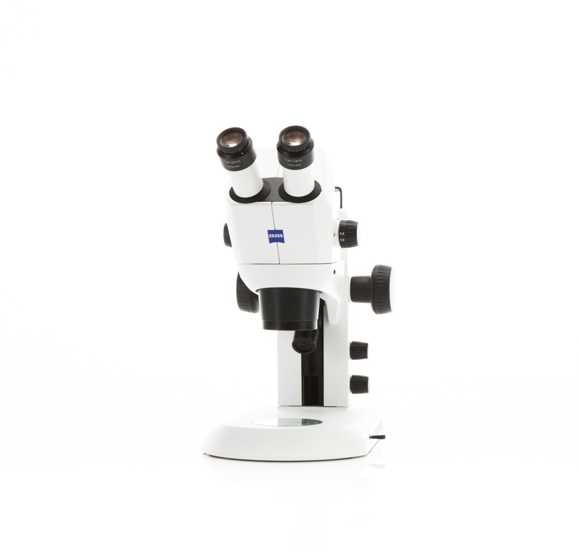 ZEISS Stemi 305 Stereo Microscope with 5:1 Zoom